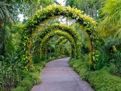 jardin des hespérides soins du visage anti-âge